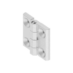 Hinge 316SS 40 x 40, Screw on